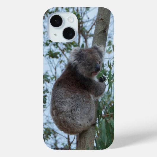 Australia Kangaroo Island Koala in een boom Case-Mate iPhone Case (Achterkant)