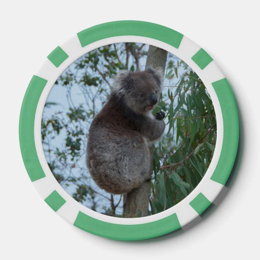 Australia Kangaroo Island Koala in een boom Poker Chips (Achterkant)