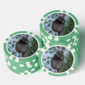 Australia Kangaroo Island Koala in een boom Poker Chips (Opstapeling)