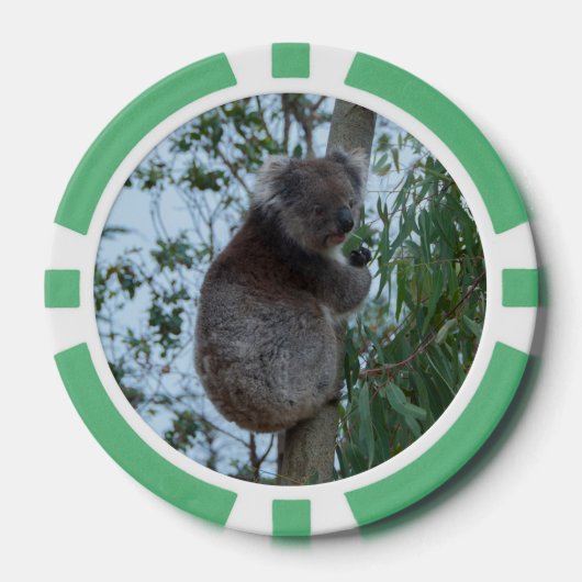 Australia Kangaroo Island Koala in een boom Poker Chips (Voorkant)