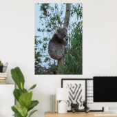 Australia Kangaroo Island Koala in een boom Poster (Thuiskantoor)