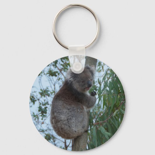 Australia Kangaroo Island Koala in een boom Sleutelhanger (Voorkant)