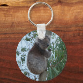 Australia Kangaroo Island Koala in een boom Sleutelhanger (Voorkant)