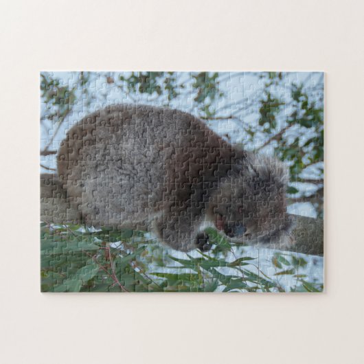 Australia Kangaroo Island Koala Tree, 252 stuks Legpuzzel (Horizontaal)