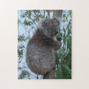 Australia Kangaroo Island Koala Tree, 252 stuks Legpuzzel