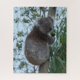 Australia Kangaroo Island Koala Tree, 520 stuks Legpuzzel