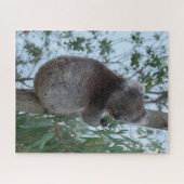 Australia Kangaroo Island Koala Tree, 520 stuks Legpuzzel (Horizontaal)