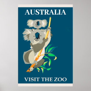 Australia Koala Beer bezoekt het dierentuin Poster