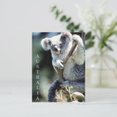 Australia Koala Beer Briefkaart (Staand voorkant)