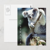 Australia Koala Beer Briefkaart (Voorkant / Achterkant)