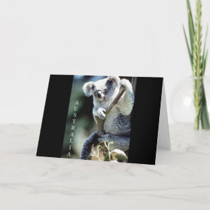 Australia Koala Beer Kaart