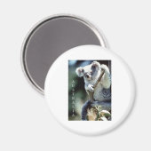 Australia Koala Beer Magneet (Voorkant / Achterkant)