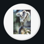 Australia Koala Beer Magneet<br><div class="desc">Australia Koala Beer</div>