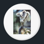 Australia Koala Beer Magneet<br><div class="desc">Australia Koala Beer</div>
