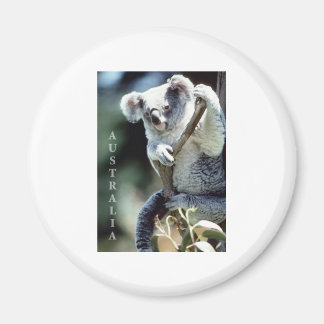 Australia Koala Beer Magneet