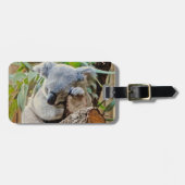 Australia Koala Beer Sleep Bagagelabel (Voorkant horizontaal)