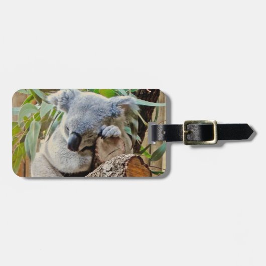 Australia Koala Beer Sleep Bagagelabel (Voorkant horizontaal)