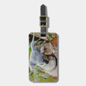 Australia Koala Beer Sleep Bagagelabel (Voorkant verticaal)