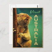 Australia Koala Briefkaart (Voorkant / Achterkant)