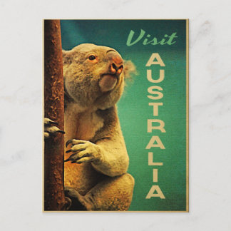 Australia Koala Briefkaart