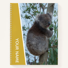 Australia Koala in a Eucalyptus Tree (goud) Notitieboek