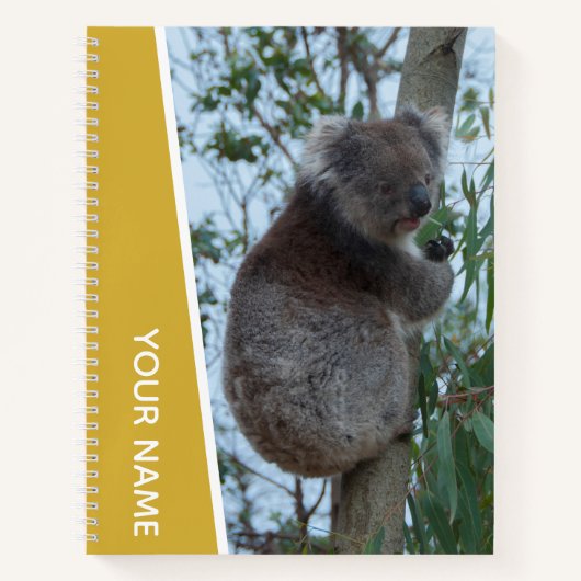Australia Koala in a Eucalyptus Tree (goud) Notitieboek (Voorkant)