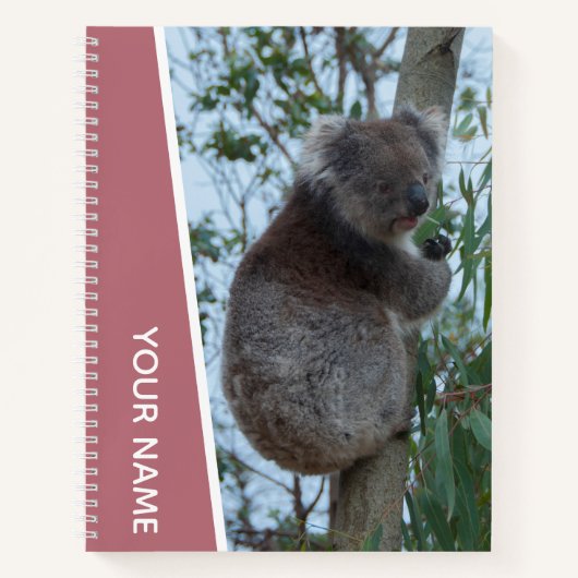 Australia Koala in a Eucalyptus Tree (Roos Gold) Notitieboek (Voorkant)