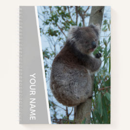 Australia Koala in a Eucalyptus Tree (zilver) Notitieboek
