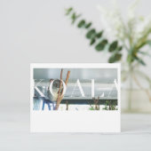 Australia Koala Post Card Briefkaart (Staand voorkant)