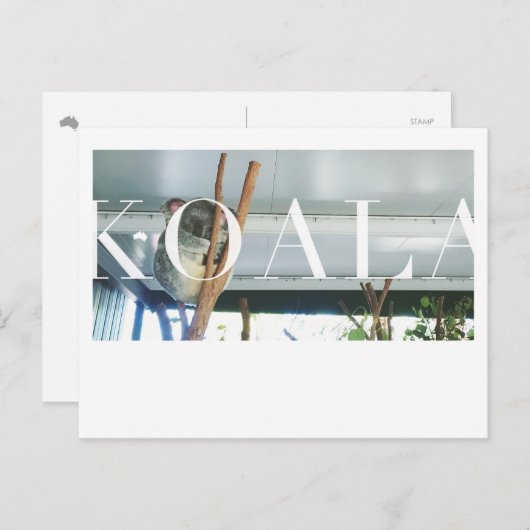 Australia Koala Post Card Briefkaart (Voorkant / Achterkant)