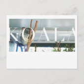 Australia Koala Post Card Briefkaart (Voorkant)