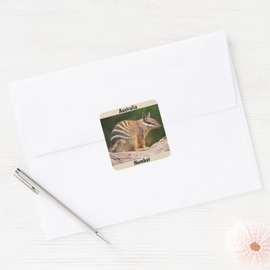 Australia Numbat Vierkante Sticker (Envelop)