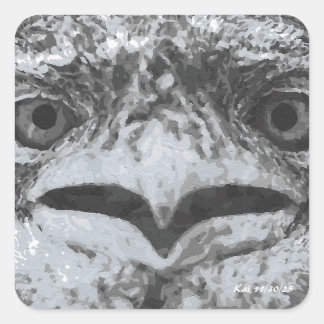 Australia Wildlife, Nature's Curmudgeon, Animal Vierkante Sticker