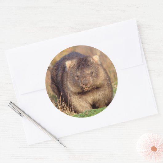 Australia Wombat Ronde Sticker (Envelop)