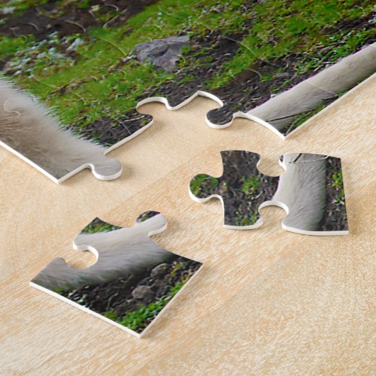 Australian Albino Kangaroo Legpuzzel (Zijkant)