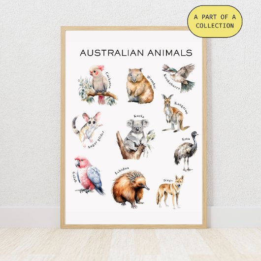 Australian Animals Educational Poster