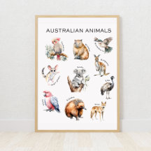Australian Animals Educational Poster