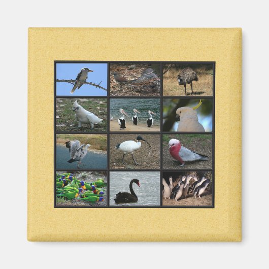 Australian Bird Photo Collage Magneet (Voorkant)