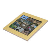 Australian Bird Photo Collage Tegeltje (Zijkant)