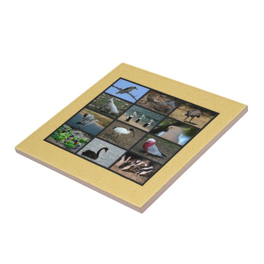 Australian Bird Photo Collage Tegeltje (Zijkant)