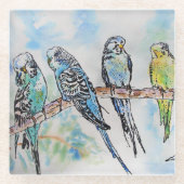 Australian Birds Budgie Waterverf Art Key Ring Glazen Onderzetter (Voorkant)