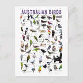 Australian Birds Chart briefkaart (Voorkant)