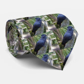 Australian Black Parrot Stropdas (Opgerold)