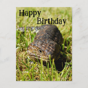 Australian Blue Tongue Lizard, Verjaardag Briefkaa Briefkaart