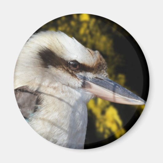 Australian Blue Winged Kookaburra, Magneet (Voorkant)