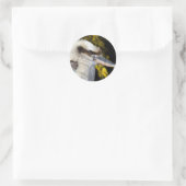 Australian Blue Winged Kookaburra, Ronde Sticker (Tas)
