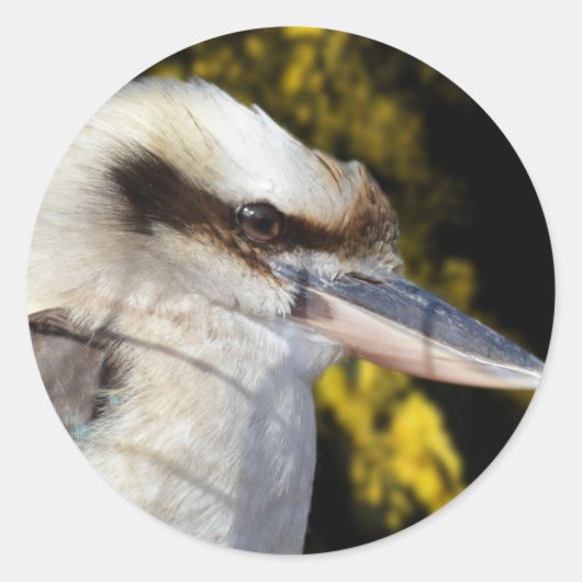 Australian Blue Winged Kookaburra, Ronde Sticker (Voorkant)