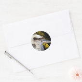 Australian Blue Winged Kookaburra, Ronde Sticker (Envelop)