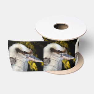 Australian Blue Winged Kookaburra, Satijnen Lint