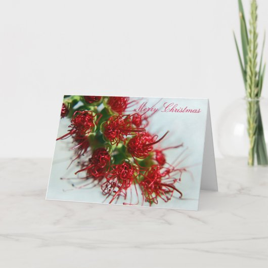 Australian Bottlebrush Christmas Kaart (Voorkant)